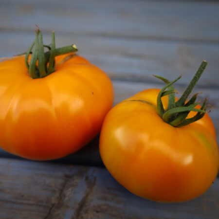 Orange Fleischtomate