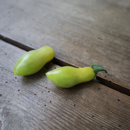 Dancing green fingers