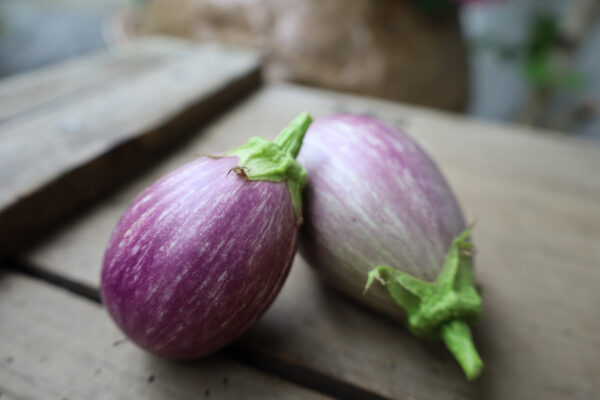 Aubergine Tsakoniki