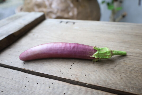 Aubergine Long Purple